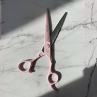 Ichiro Pastel Pink cutting scissor, product view 4