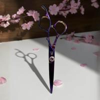 Juntetsu Hanami Professional Hair Cutting Scissors