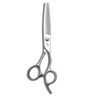 Ichiro Ergo Slice & Serrated Hairdressing Scissor Set (SKU: ICH-ERGO-S55)
