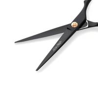 Ichiro Ash Gold cutting and thinning shear set