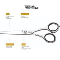 Jaguar Art MOONLIGHT GARDEN Scissors