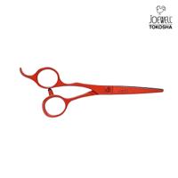 Joewell Colour C scissors with comb and case